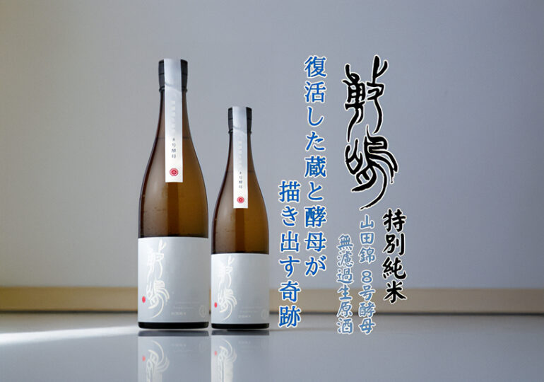 新着20250402