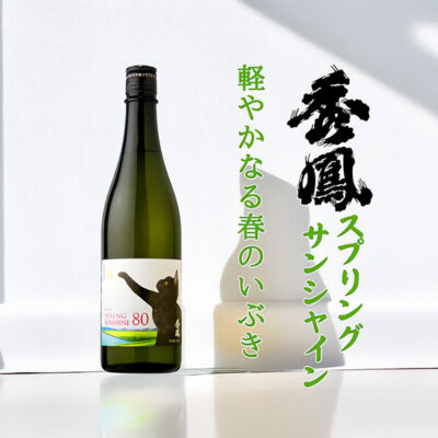 新着20250416