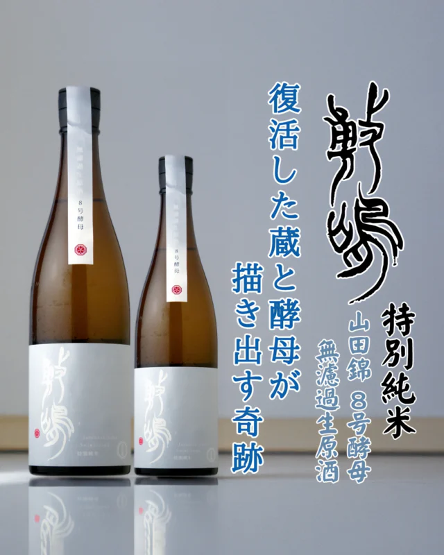 復活した蔵が醸し出す、８号酵母の復活の奇跡

【お酒🍶の紹介 敷嶋 特別純米 山田錦 無濾過生原酒 8号酵母】

ほとんど使われなくなってしまった「８号酵母」を復活させ、チャレンジしたお酒。
蔵元のお話では、この酵母使うのは「敷嶋の酒質に合いそうだから」・・・とちょっとライトな理由ですが、出来上がったお酒は見事にマッチ！まさに「傑作」と言いたくなるほどです！

香りは爽やかに香るオレンジ🍊のような柑橘系。
その中にちょっとブドウ🍇のようなフルーティな香りも見え隠れします。

味わいはクリアでふくよかな甘みを感じますが、厚すぎず細すぎず「ちょうどいい」と実感する飲みやすさです。
「しゅわっ」とした微発泡もあるので、フレッシュさも感じます。

さらに、燻らせるとやさしい酸とほろ苦さがバランスよく感じられます。
こりゃもう「大人のオレンジジュース🍊」と言っていいような味わいデス！

のど越しでは、原酒ならではのヒリッとしたドライ感と、果実感がある香りの余韻がとても心地よく感じ、「もう一杯」飲みたくなる魅力に取りつかれそうデス🤤

醸造元：伊東株式会社（愛知県半田市亀崎町）
作品名：敷嶋 特別純米 山田錦 無濾過生原酒 8号酵母
お値段：1.8L　3,740円（税込み）
　　　　720ml 1,870円（税込み）

では、皆様のご来店雄町しております😄

#日本酒🍶
#地酒
#福島県
#桑折町
#愛知県
#敷嶋
#伊東株式会社
#旭屋
#リカーショップ旭屋
#酒屋