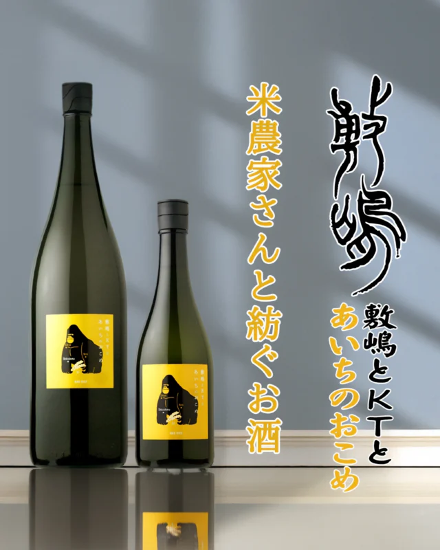 米農家さん存続のための「KTプロジェクト」

【お酒🍶の紹介 敷嶋とKTとあいちのおこめ】

「農家のKT」ことnaoriceさんとの共同プロジェクト。「農家のKT」は愛知県半田市の農家、近藤匠（たくみ）さん。SNSなどで農業の魅力を発信するインフルエンサーの方となります。

開栓をするときに「ぷしゅ～😲」と漏れるガスの音、そして開けるときの「ポンッ😲」と鳴り響くほどの快音、この強めのガス感には期待大です。

上立ち香は食べごろの果実感・・・特に柑橘系のような、甘さのある爽やかな香りが、飲み手のココロをくすぐります。
味わいは、低精米（77.7％）にもかかわらずキレイで、ふくよかに広がる優しい甘みと繊細な酸味とのバランスが良く、「ちょうど良い」ジューシーさがあります。
きめ細かい微発泡（ガス）感の主張もわかりやすく、心地よいフレッシュさが弾ける舌ざわりを堪能できます。
じわりとビター感も現れ、それがのど越しをキュッと〆るため、大変メリハリのある印象を残していきます。

また「おり」を絡めて飲むと、ビターな味わいがより多く感じられ、お酒はドライ（辛口）よりの味わいに変貌します。これは飲み飽きしないデスね！

このお酒は「KTプロジェクト」として、他にも「義侠さん（山忠本家酒造様）」「二兎さん（丸石醸造様）」でも、同じ愛知県の酒造好適米「夢吟香」を使って醸造しております。
もしお見かけしましたら、ぜひ飲み比べてみてください！

そういえば、ラベルの「ゴリラ」はなぜ？とお思いの方。よーく、愛知県の地図を見てみてください。
「あれ？このゴリラの形に似てなくね？」

醸造元：伊東株式会社（愛知県半田市亀崎町）
作品名：敷嶋とKTとあいちのおこめ
お値段：1.8L　3,520円（税込）
　　　　720ml 1,870円（税込）

では、皆様のご来店雄町しております😄

#日本酒🍶
#地酒
#福島県
#桑折町
#愛知県
#敷嶋
#伊東株式会社
#旭屋
#リカーショップ旭屋
#酒屋